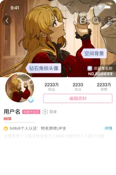 预览