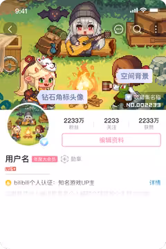 预览
