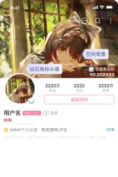 预览