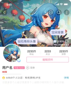 预览