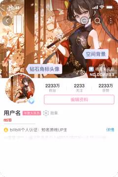 预览