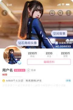 预览