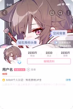 预览