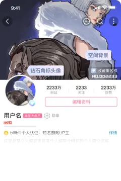 预览