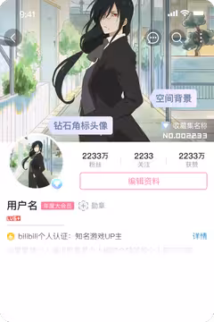 预览
