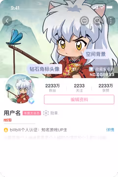 预览