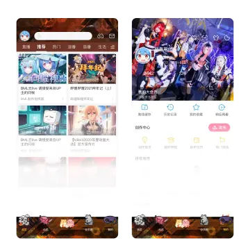 预览