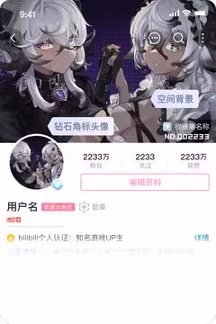 预览