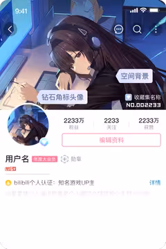 预览
