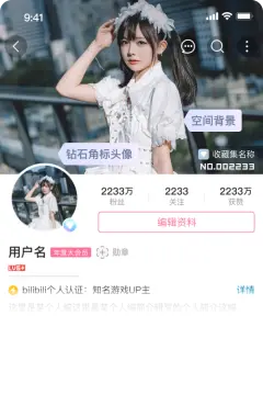 预览