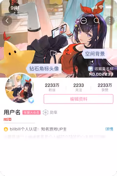 预览
