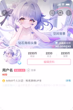 预览