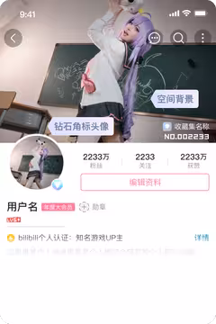 预览