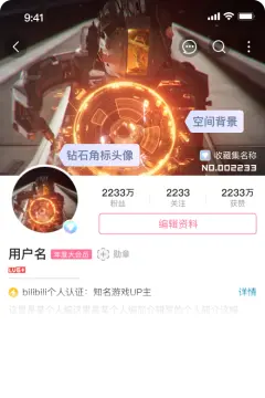 预览