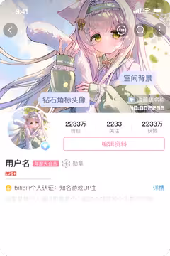 预览