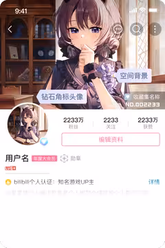 预览
