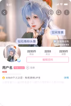 预览