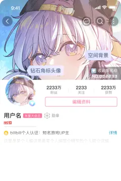 预览