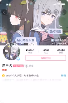 预览