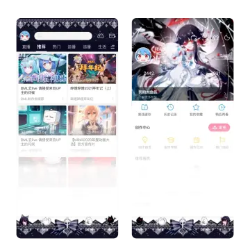 预览
