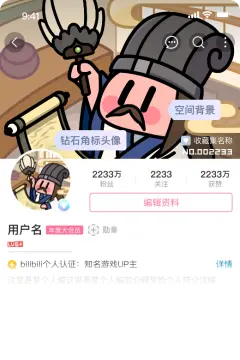 预览