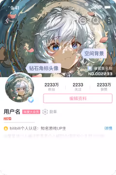 预览