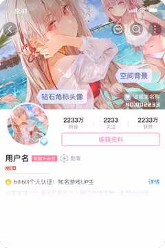 预览