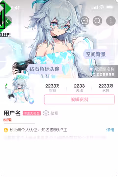 预览