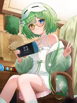 预览