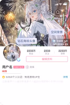 预览