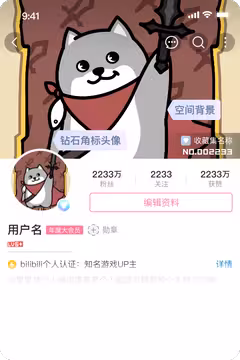预览