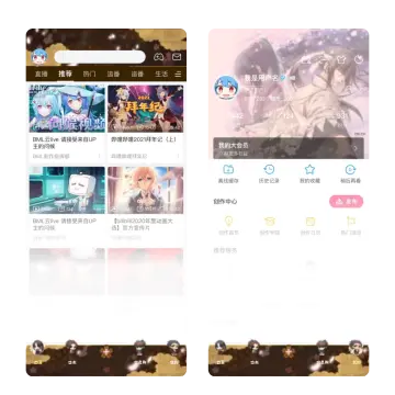 预览