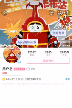 预览