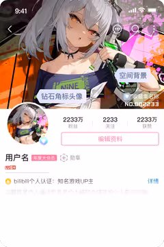 预览