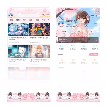 预览