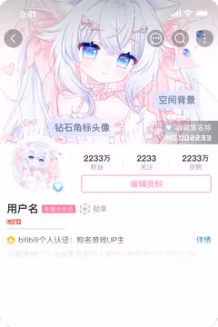 预览