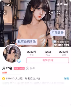预览