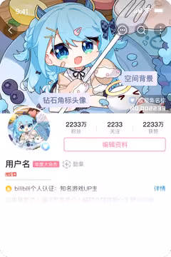 预览
