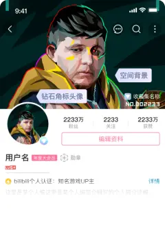 预览