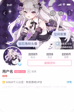 预览