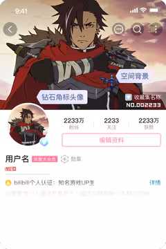 预览