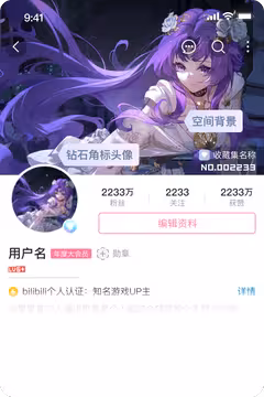 预览