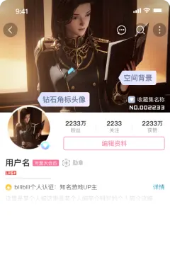 预览