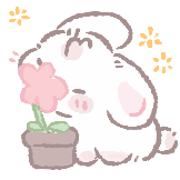 [樱粉眠眠兔_贴贴]