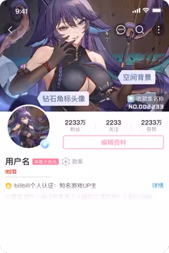 预览