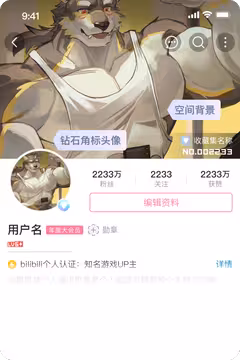 预览