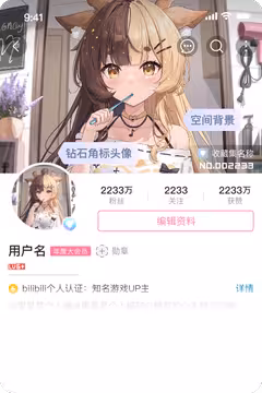 预览