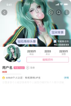 预览