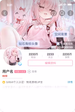 预览