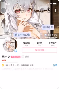 预览